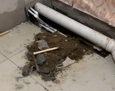 景县卫生间漏水检测哪家好