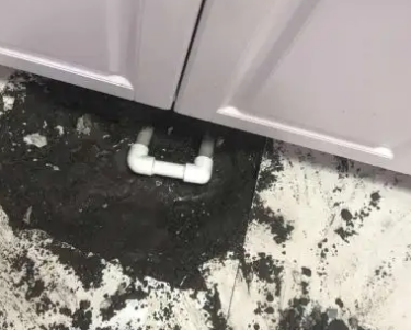 景县查漏水哪家好