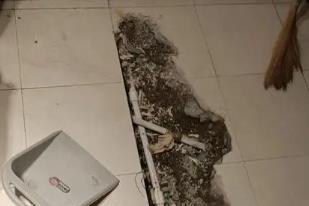 景县卫生间漏水检测电话